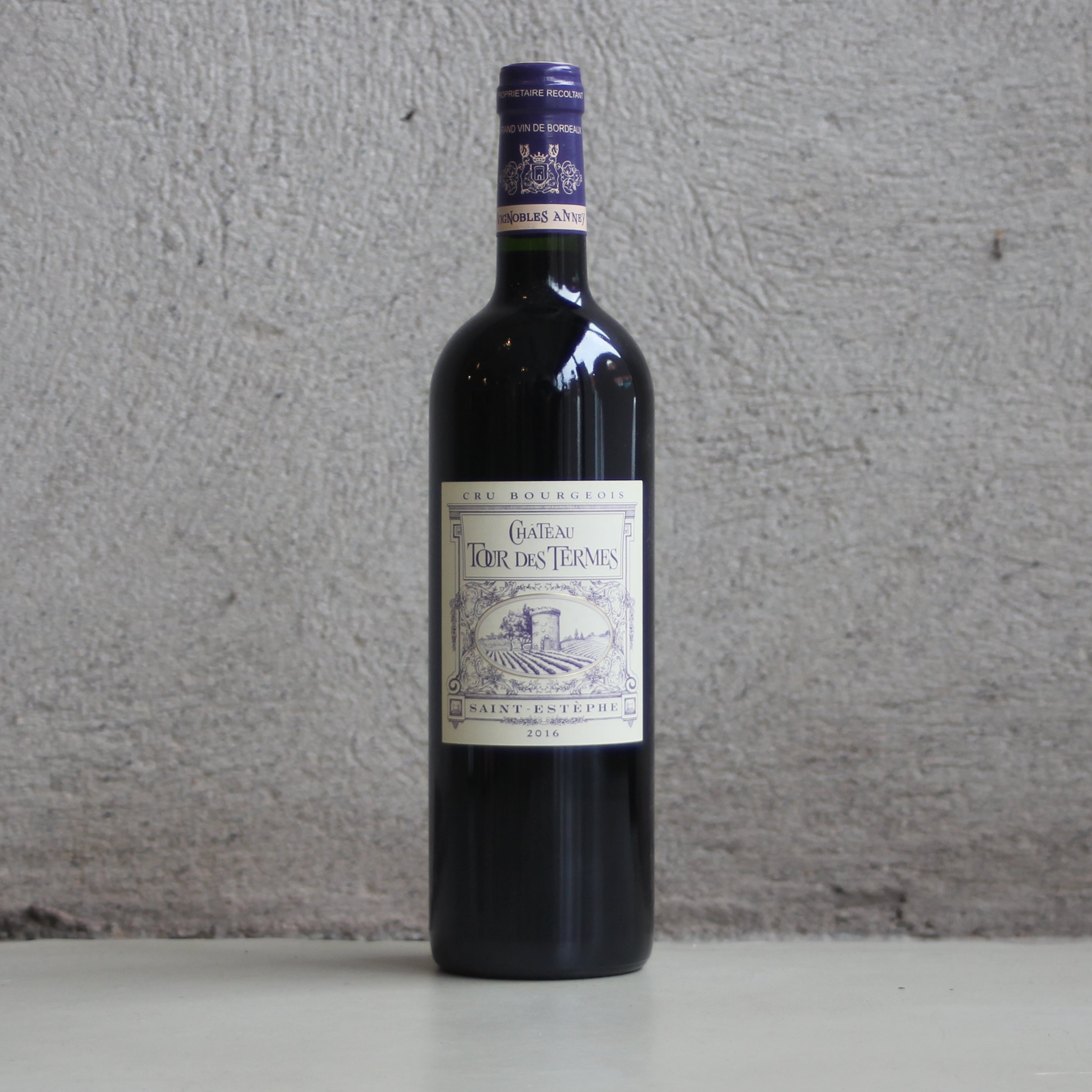 Chateau Tour des Termes, Saint Estephe, Bordeaux, France, 2016