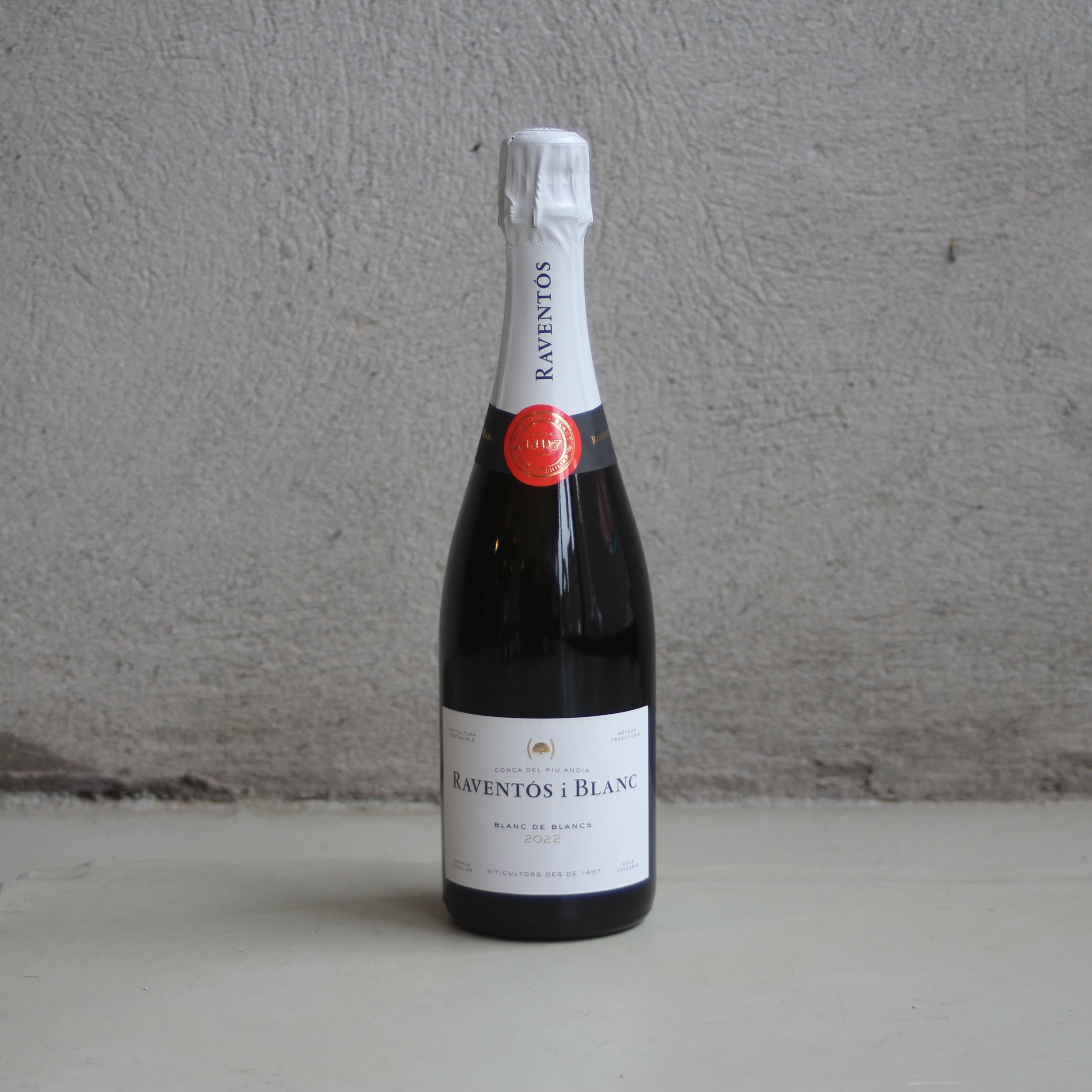 Raventós i Blanc, Blanc de Blancs, Penedes, Spain, 2021